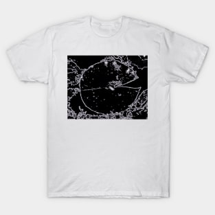 Pond Vision T-Shirt